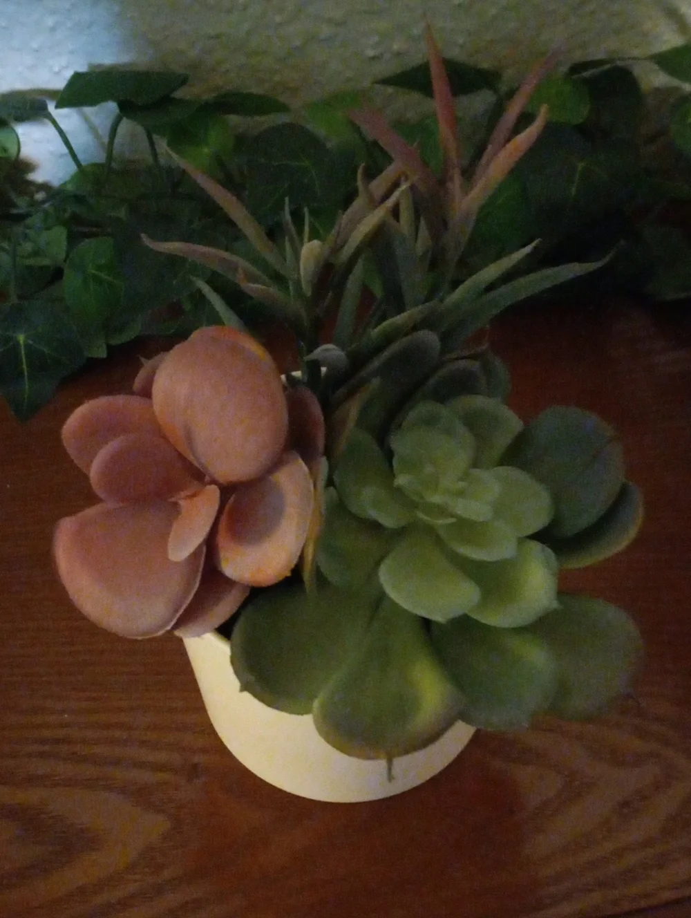 Artifiicial succulent  set